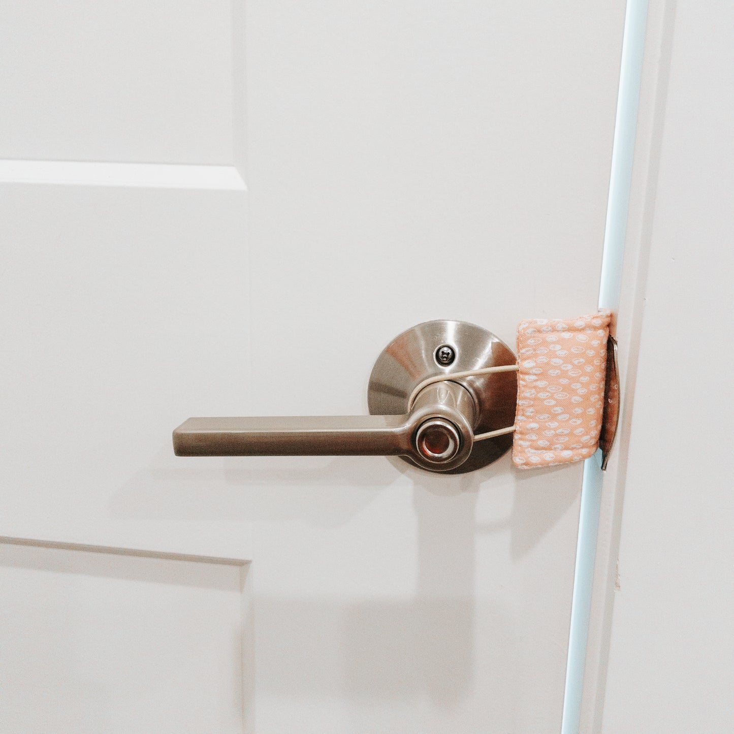 Door Latch Cover